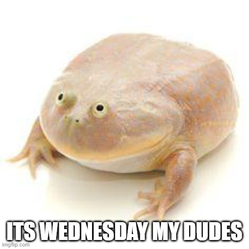 yes it is my dude | ITS WEDNESDAY MY DUDES | image tagged in wednesday frog blank | made w/ Imgflip meme maker