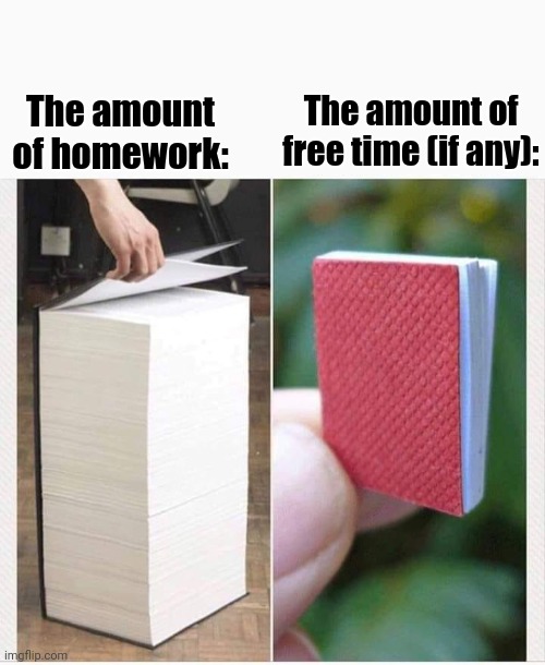 *screams in anxiety* | The amount of free time (if any):; The amount of homework: | image tagged in my knowledge of | made w/ Imgflip meme maker
