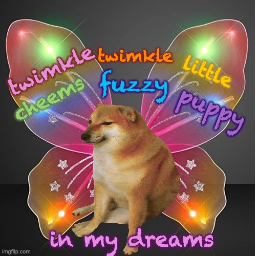 The Derp Fairy |  twimkle; twimkle; little; fuzzy; cheems; puppy; in my dreams | image tagged in cheems,fairy,sparkle,shiny | made w/ Imgflip meme maker