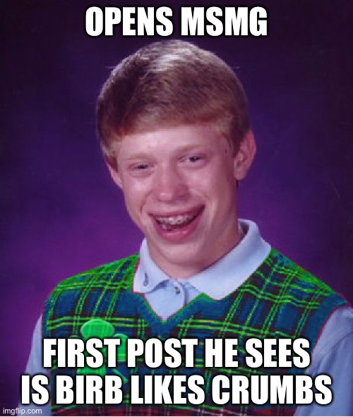 good luck brian | OPENS MSMG FIRST POST HE SEES IS BIRB LIKES CRUMBS | image tagged in good luck brian | made w/ Imgflip meme maker