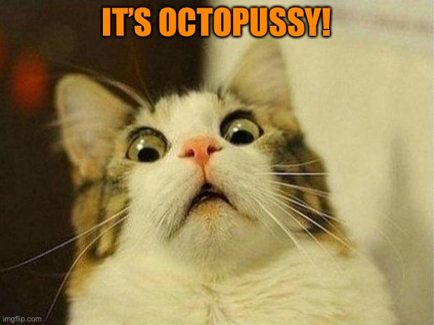 Scared Cat Meme | IT’S OCTOPUSSY! | image tagged in memes,scared cat | made w/ Imgflip meme maker