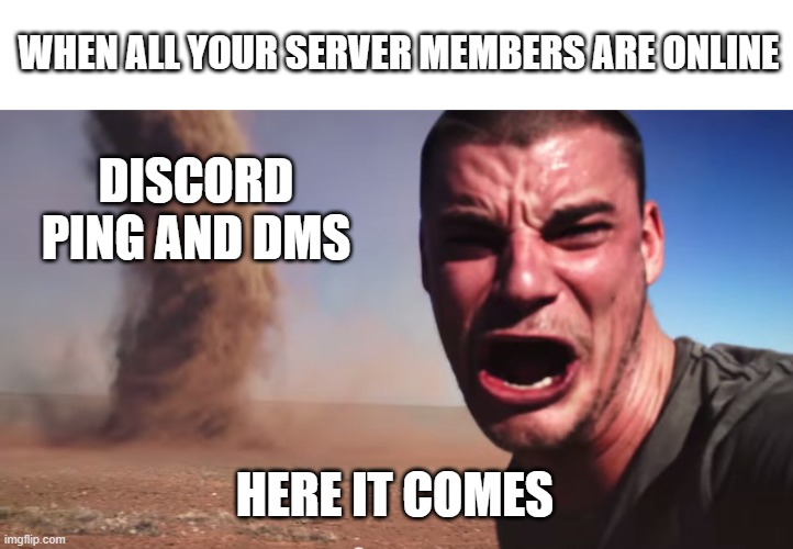 Imagine the computer lol | WHEN ALL YOUR SERVER MEMBERS ARE ONLINE; DISCORD PING AND DMS; HERE IT COMES | image tagged in here it comes | made w/ Imgflip meme maker