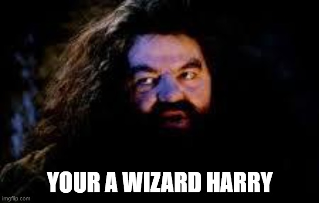 your a wizard harry | YOUR A WIZARD HARRY | image tagged in your a wizard harry | made w/ Imgflip meme maker