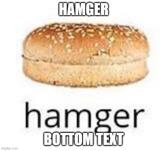 hamger | HAMGER; BOTTOM TEXT | image tagged in hamburger,bottom text,hamger,funny,random | made w/ Imgflip meme maker