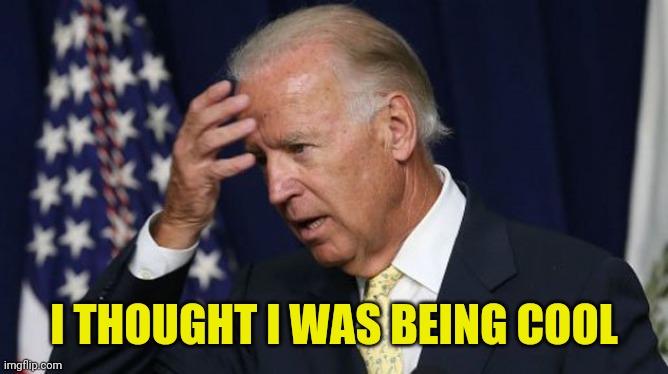 Joe Biden worries | I THOUGHT I WAS BEING COOL | image tagged in joe biden worries | made w/ Imgflip meme maker