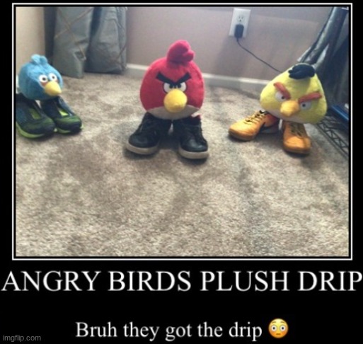 THE DRIP | image tagged in angry bird plushie | made w/ Imgflip meme maker