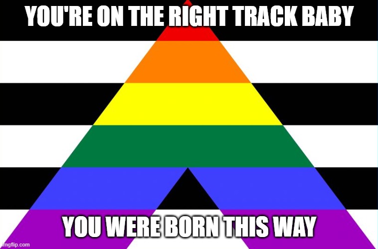 Straight, but I don't hate. (Be yourself! Love yourself!) | YOU'RE ON THE RIGHT TRACK BABY; YOU WERE BORN THIS WAY | image tagged in straight ally flag | made w/ Imgflip meme maker