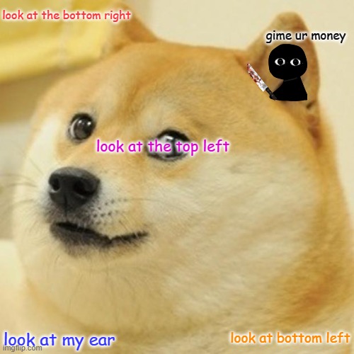 Doge | look at the bottom right; gime ur money; look at the top left; look at bottom left; look at my ear | image tagged in memes,doge | made w/ Imgflip meme maker