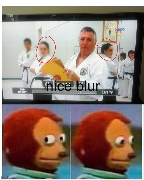 revealed | nice blur | image tagged in memes,monkey puppet | made w/ Imgflip meme maker