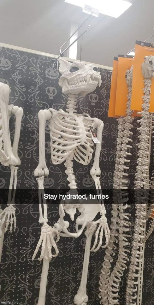 Remember kids, At least 10 cups a day! :D | image tagged in furry,skeleton,hydration,water,memes | made w/ Imgflip meme maker
