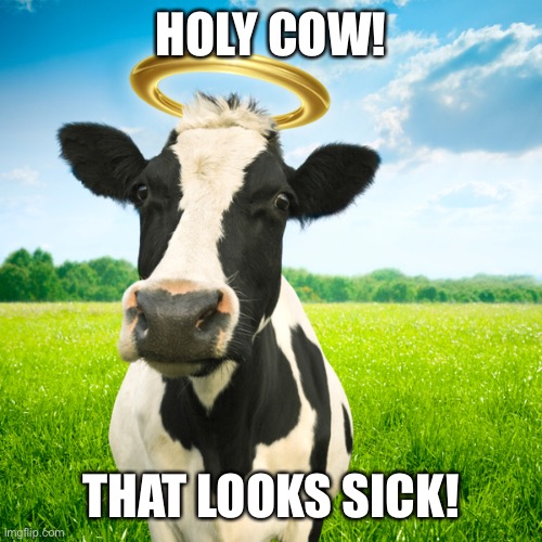 Holy Cow | HOLY COW! THAT LOOKS SICK! | image tagged in holy cow | made w/ Imgflip meme maker