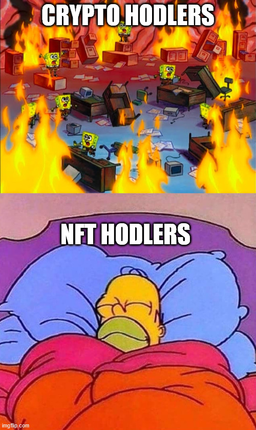 Crypto holders vs. NFT hodlers | CRYPTO HODLERS; NFT HODLERS | image tagged in spongebob caos,homer simpson sleeping peacefully | made w/ Imgflip meme maker