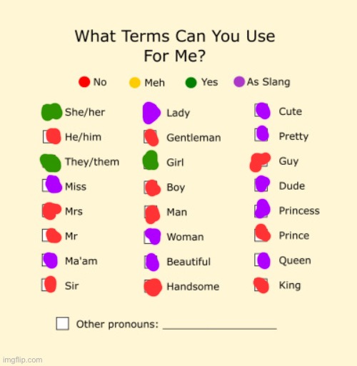 These are my pronouns! | image tagged in pronouns sheet | made w/ Imgflip meme maker