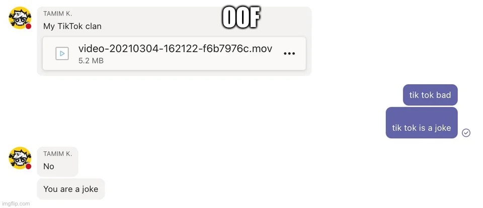 Ouch :( | OOF | image tagged in tiktok sucks | made w/ Imgflip meme maker