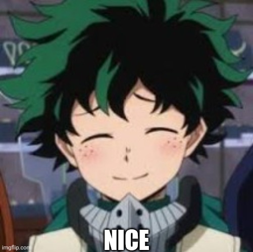 Deku smile | NICE | image tagged in deku smile | made w/ Imgflip meme maker