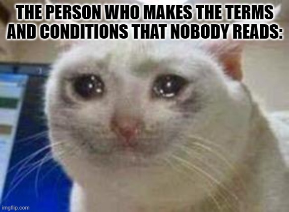 Sad cat | THE PERSON WHO MAKES THE TERMS AND CONDITIONS THAT NOBODY READS: | image tagged in sad cat | made w/ Imgflip meme maker