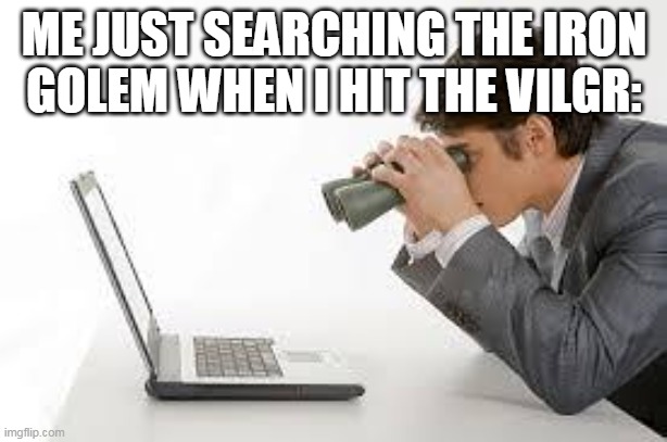 Searching Computer | ME JUST SEARCHING THE IRON GOLEM WHEN I HIT THE VILGR: | image tagged in searching computer | made w/ Imgflip meme maker