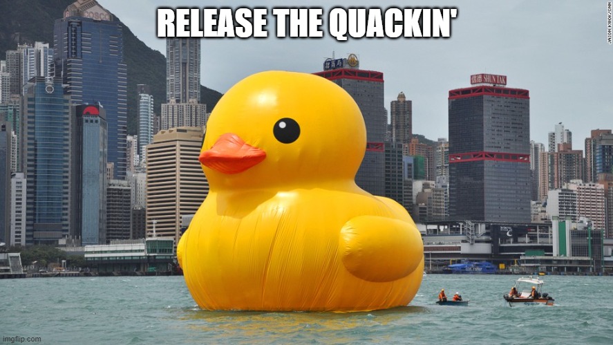 release the quackin' | RELEASE THE QUACKIN' | image tagged in giant rubber ducky | made w/ Imgflip meme maker