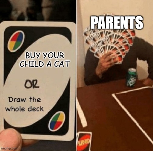 buy your child a cat | PARENTS; BUY YOUR CHILD A CAT | image tagged in uno draw the whole deck | made w/ Imgflip meme maker