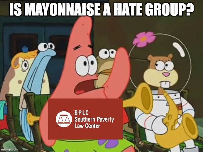 Is mayonnaise an instrument? | IS MAYONNAISE A HATE GROUP? | image tagged in is mayonnaise an instrument,memes,hate,southern,poverty,law | made w/ Imgflip meme maker