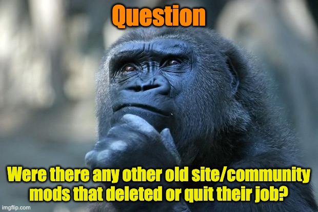 Unga Bunga | Question; Were there any other old site/community mods that deleted or quit their job? | image tagged in deep thoughts | made w/ Imgflip meme maker