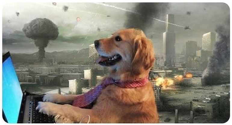 Disaster Dog Blank Meme Template