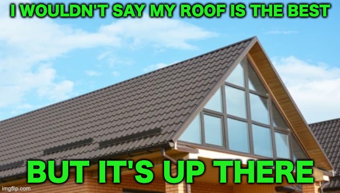 dad jokes aren't funny but they're entertaining | I WOULDN'T SAY MY ROOF IS THE BEST; BUT IT'S UP THERE | image tagged in memes,unfunny | made w/ Imgflip meme maker
