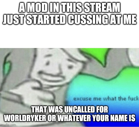 Excuse me wtf blank template |  A MOD IN THIS STREAM JUST STARTED CUSSING AT ME; THAT WAS UNCALLED FOR WORLDRYKER OR WHATEVER YOUR NAME IS | image tagged in excuse me wtf blank template | made w/ Imgflip meme maker