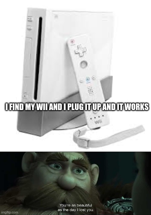 I FIND MY WII AND I PLUG IT UP AND IT WORKS | image tagged in you are as beautiful as the day i lost you | made w/ Imgflip meme maker