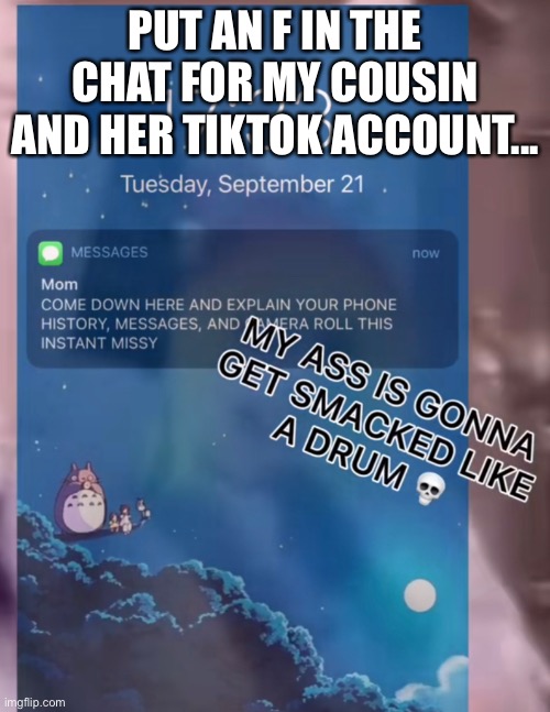 PUT AN F IN THE CHAT FOR MY COUSIN AND HER TIKTOK ACCOUNT... | made w/ Imgflip meme maker