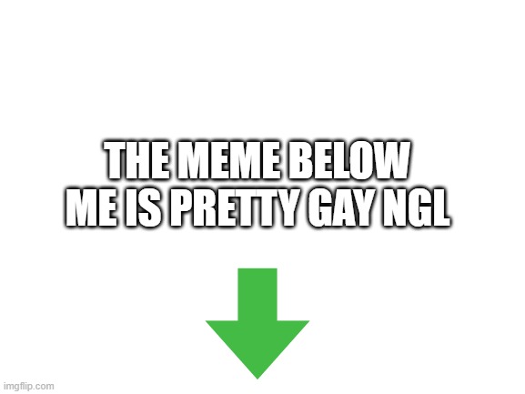 Blank White Template | THE MEME BELOW ME IS PRETTY GAY NGL | image tagged in blank white template | made w/ Imgflip meme maker