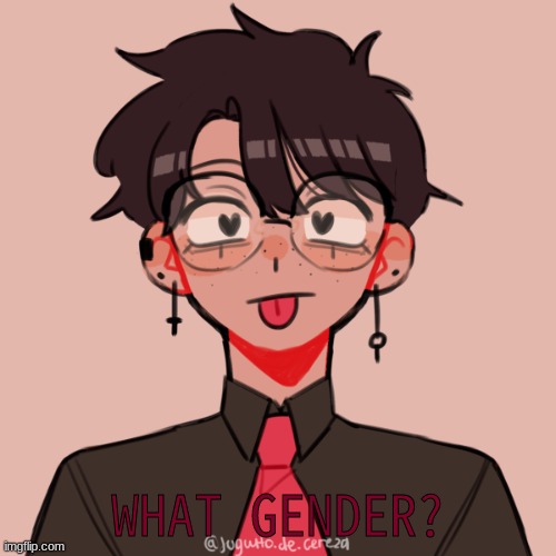 i wont say the answer even if u guess right | WHAT GENDER? | image tagged in guess | made w/ Imgflip meme maker
