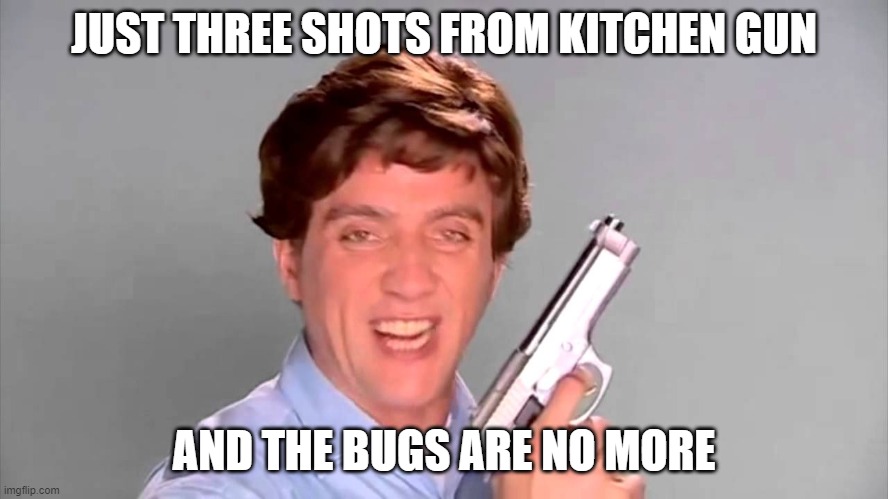 Kitchen gun | JUST THREE SHOTS FROM KITCHEN GUN AND THE BUGS ARE NO MORE | image tagged in kitchen gun | made w/ Imgflip meme maker