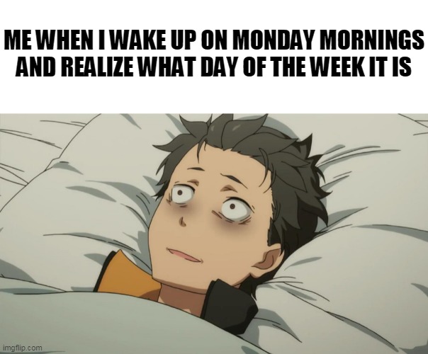 WHY???? | ME WHEN I WAKE UP ON MONDAY MORNINGS AND REALIZE WHAT DAY OF THE WEEK IT IS | image tagged in re zero subaru,monday,week,anime,realization,relateable | made w/ Imgflip meme maker