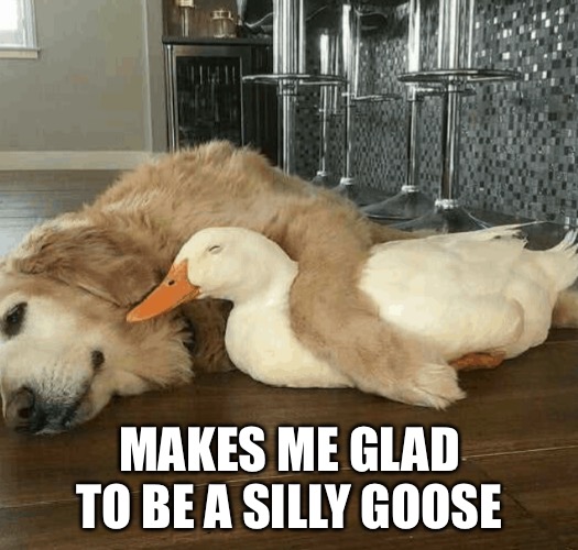 MAKES ME GLAD TO BE A SILLY GOOSE | made w/ Imgflip meme maker