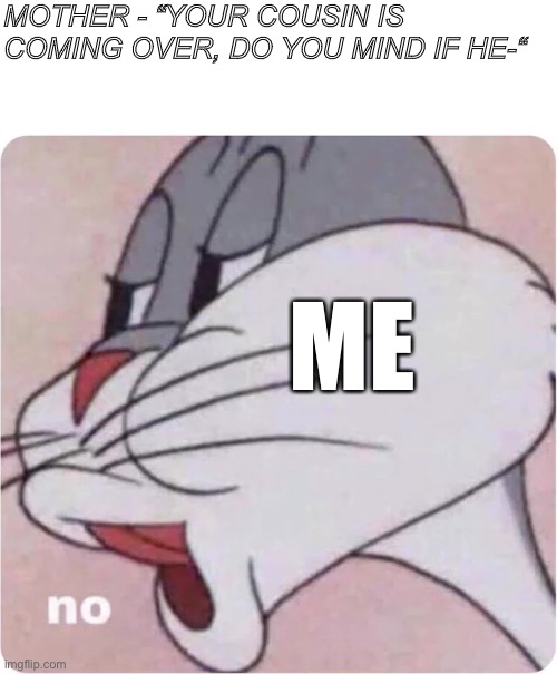 When younger cousin be coming over | MOTHER - “YOUR COUSIN IS COMING OVER, DO YOU MIND IF HE-“; ME | image tagged in bugs bunny no,memes | made w/ Imgflip meme maker