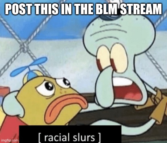 POST THIS IN THE BLM STREAM | image tagged in racial slurs | made w/ Imgflip meme maker