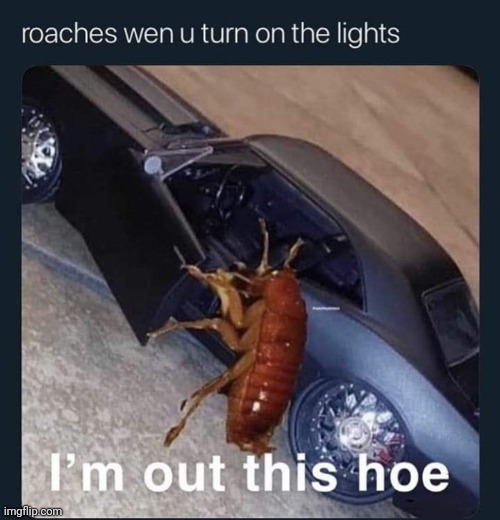 I posted this ? | made w/ Imgflip meme maker