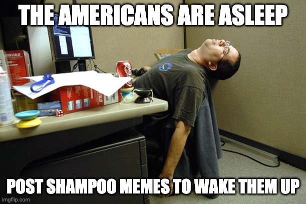 If you're in America and you're still awake, please go to bed. You need to sleep. | THE AMERICANS ARE ASLEEP; POST SHAMPOO MEMES TO WAKE THEM UP | image tagged in asleep at work,memes,unfunny | made w/ Imgflip meme maker