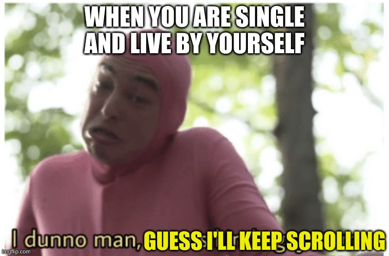 Idk man seems kinda gay | WHEN YOU ARE SINGLE AND LIVE BY YOURSELF GUESS I'LL KEEP SCROLLING | image tagged in idk man seems kinda gay | made w/ Imgflip meme maker