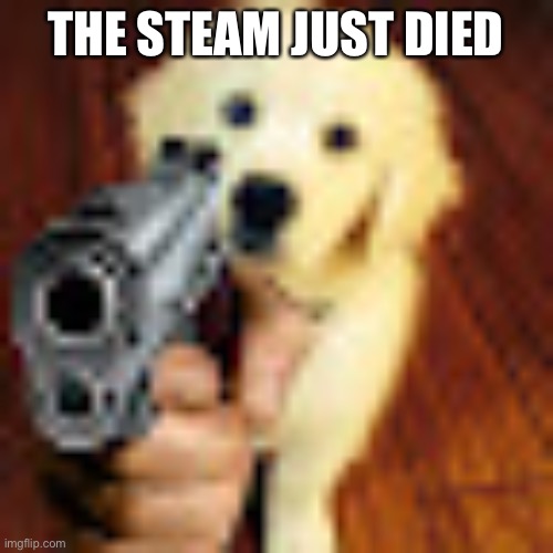 Dog gun | THE STEAM JUST DIED | image tagged in dog gun | made w/ Imgflip meme maker