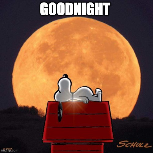 Goodnight | GOODNIGHT | image tagged in goodnight | made w/ Imgflip meme maker