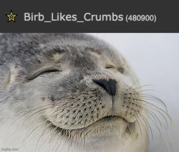 No, I'm not new to imgflip, I joined long ago | image tagged in satisfied seal | made w/ Imgflip meme maker