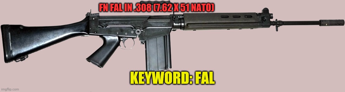 FAL | FN FAL IN .308 (7.62 X 51 NATO); KEYWORD: FAL | image tagged in fal | made w/ Imgflip meme maker