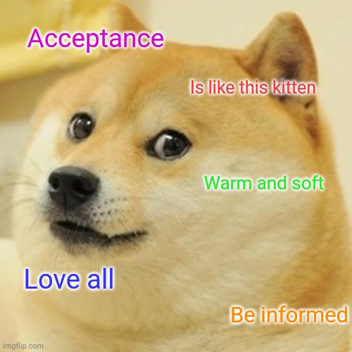 Doge Meme | Acceptance; Is like this kitten; Warm and soft; Love all; Be informed | image tagged in memes,doge | made w/ Imgflip meme maker