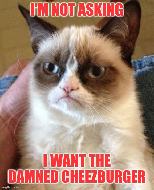This is not say all cats are grumpy. They are deverze | I'M NOT ASKING; I WANT THE DAMNED CHEEZBURGER | image tagged in memes,grumpy cat | made w/ Imgflip meme maker