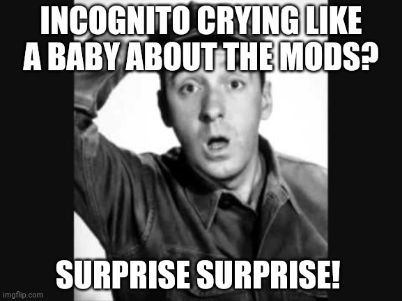 Gomer Pyle USMC | INCOGNITO CRYING LIKE A BABY ABOUT THE MODS? SURPRISE SURPRISE! | image tagged in gomer pyle usmc | made w/ Imgflip meme maker