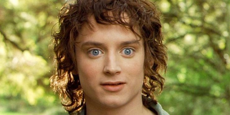 Frodo excited Blank Meme Template