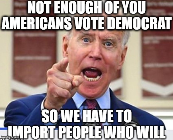 Why our country is being invaded. | NOT ENOUGH OF YOU AMERICANS VOTE DEMOCRAT; SO WE HAVE TO IMPORT PEOPLE WHO WILL | image tagged in democrats,joe biden,illegal immigration,migrants,memes | made w/ Imgflip meme maker