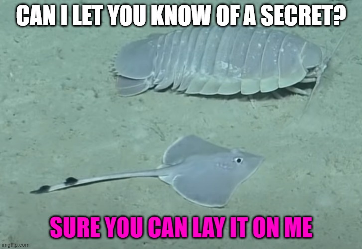 jerry and his friend | CAN I LET YOU KNOW OF A SECRET? SURE YOU CAN LAY IT ON ME | image tagged in jerry and guy | made w/ Imgflip meme maker